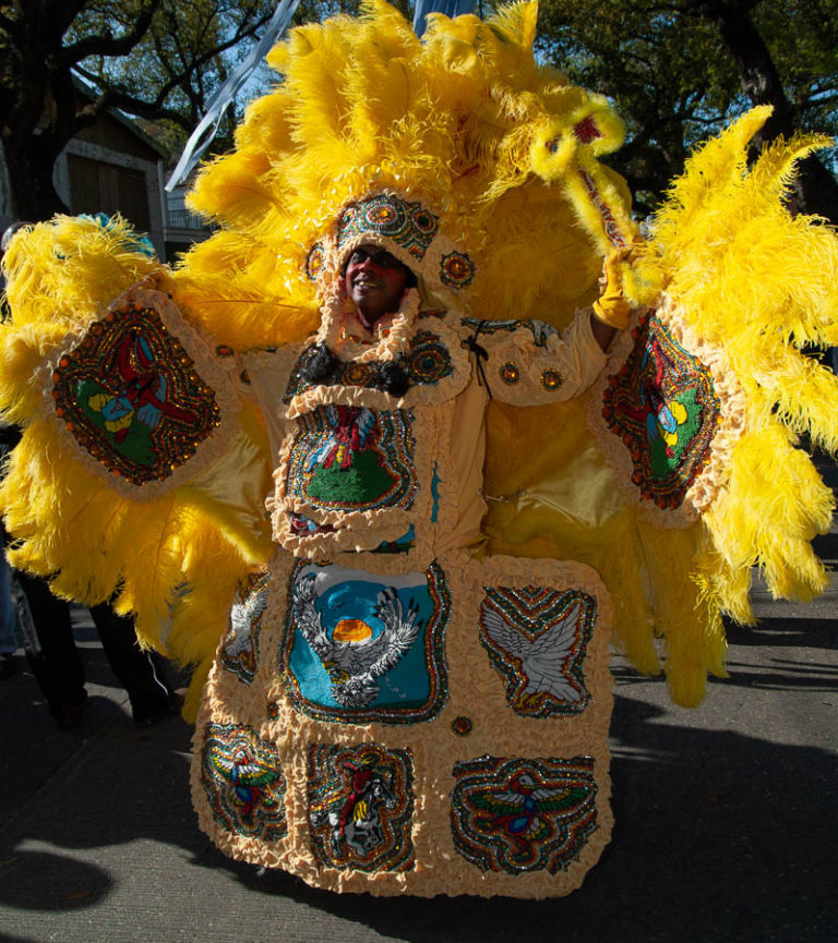 Mardi Gras Inidans, New Orleans, Super Sunday