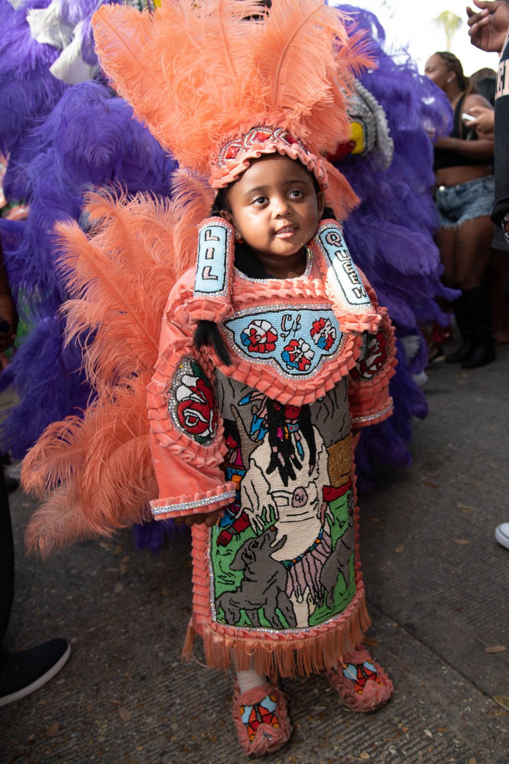 Mardi Gras Indians 2015, New Orleans, Super Sunday